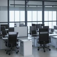 Инструкция по заполнению «раздела МСП» в плане закупок 223-ФЗ на 3 года: где взять и что в ней должно быть